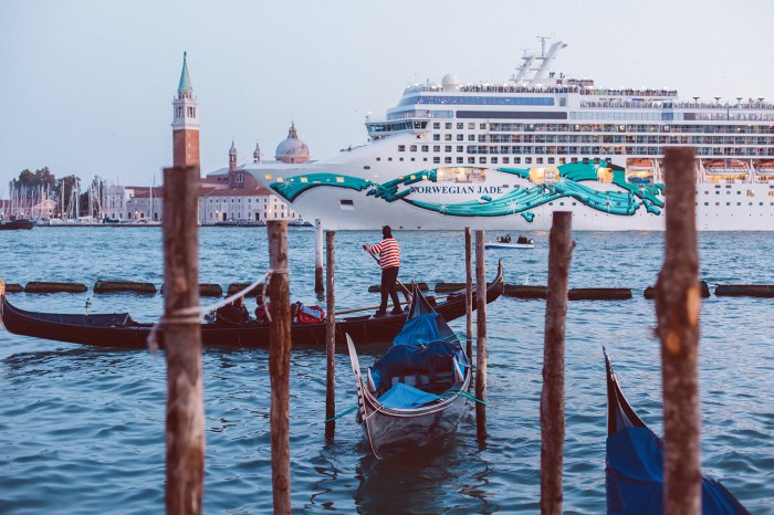 Venezia, grandi navi