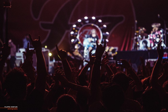 Concerto Foo Fighters a Cesena, foto 10