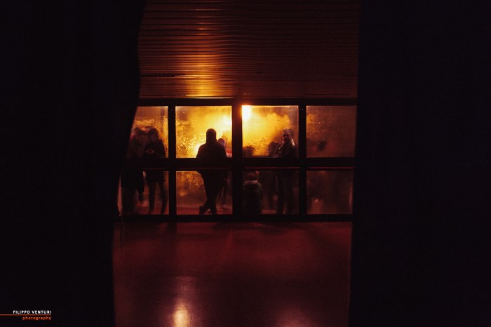 Concerto Foo Fighters a Cesena, foto 11