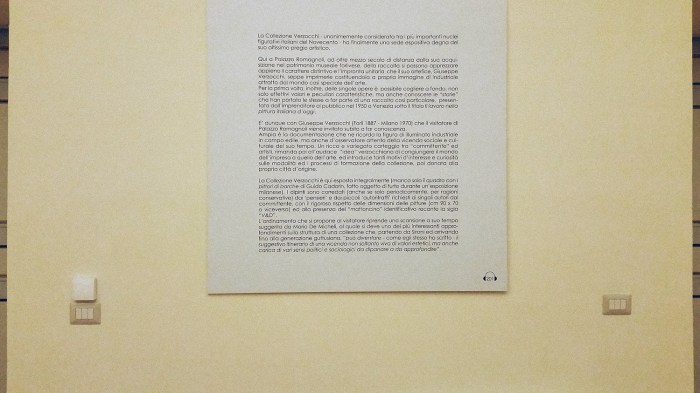 Il Lavoro Immateriale, Palazzo Romagnoli, foto 13