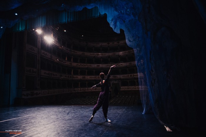 Ballet of Moscow, Swan Lake, photo 1