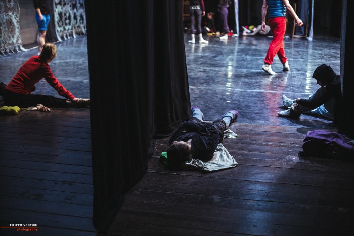 Ballet of Moscow, Swan Lake, photo 2