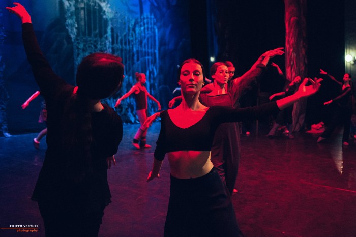 Ballet of Moscow, Swan Lake, photo 6