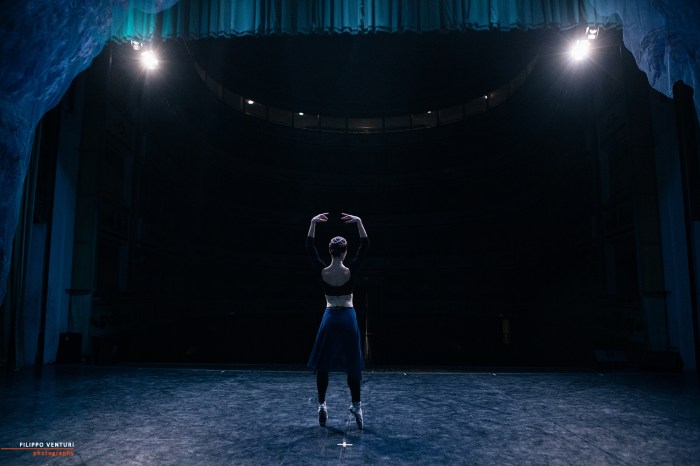 Ballet of Moscow, Swan Lake, photo 7