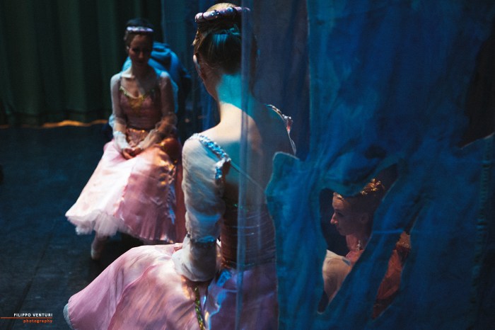 Ballet of Moscow, Swan Lake, photo 8