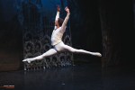 Ballet of Moscow, Swan Lake, photo 9