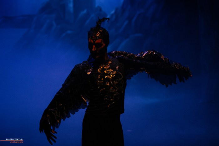 Ballet of Moscow, Swan Lake, photo 10