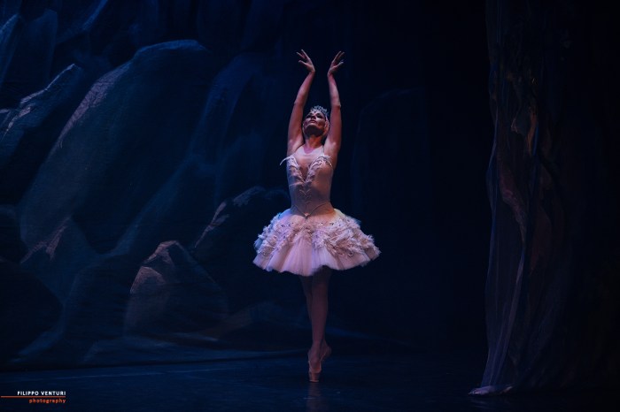 Ballet of Moscow, Swan Lake, photo 11