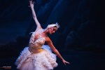 Ballet of Moscow, Swan Lake, photo 12