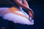 Ballet of Moscow, Swan Lake, photo 13