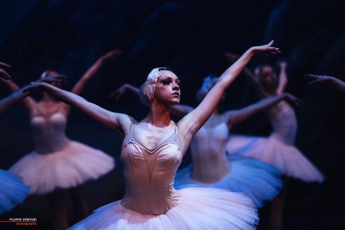 Ballet of Moscow, Swan Lake, photo 15
