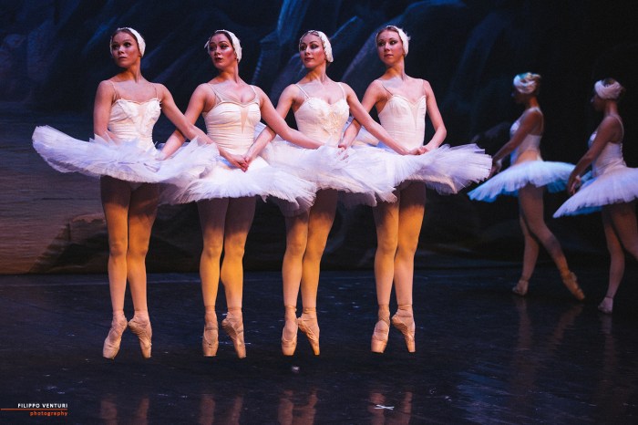 Ballet of Moscow, Swan Lake, photo 16