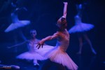 Ballet of Moscow, Swan Lake, photo 19