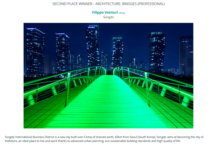 International Photographer of the Year