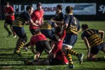 Romagna RFC - Reno Bologna, Foto 38