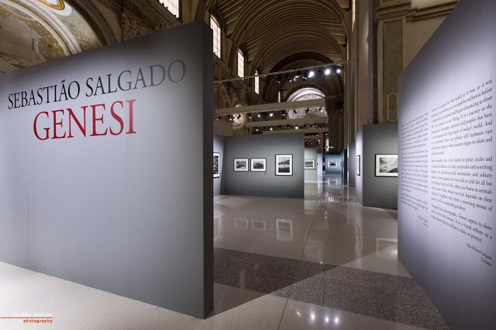 Mostra Genesi di Sebastião Salgado, a Forlì, foto 1