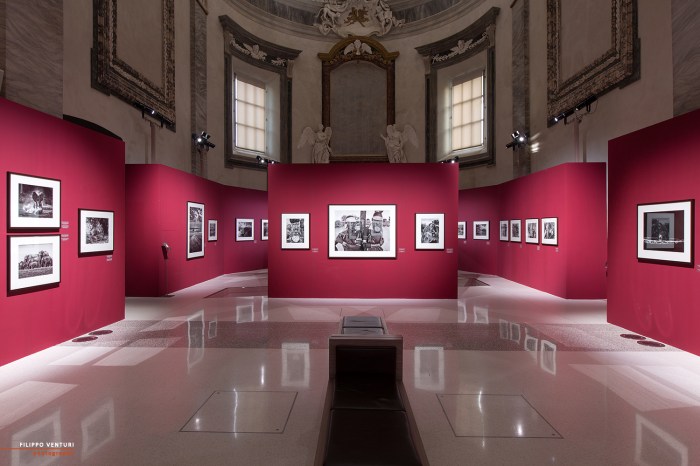 Mostra Genesi di Sebastião Salgado, a Forlì, foto 5