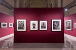 Mostra Genesi di Sebastião Salgado, a Forlì, foto 7