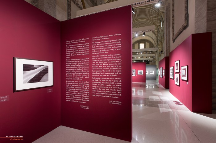 Mostra Genesi di Sebastião Salgado, a Forlì, foto 8
