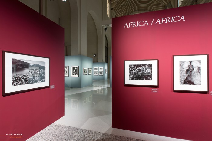 Mostra Genesi di Sebastião Salgado, a Forlì, foto 11