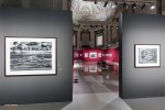 Mostra Genesi di Sebastião Salgado, a Forlì, foto 13