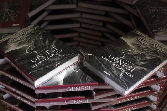 Mostra Genesi di Sebastião Salgado, a Forlì, foto 18