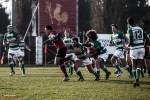 Romagna RFC - Livorno Rugby - Photo 6