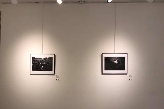 Demigods in mostra a Parigi