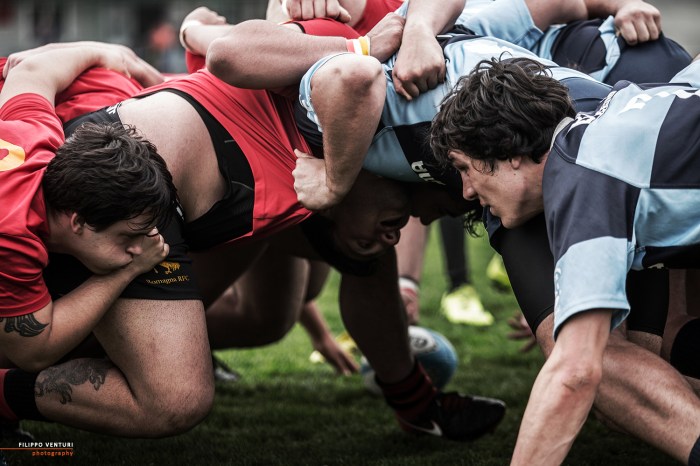 Best Rugby Photos, 17