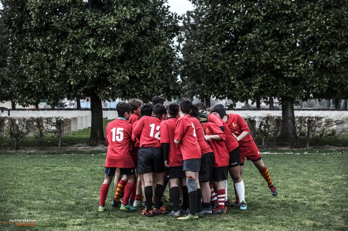 Rugby 6 Regions, photo 3