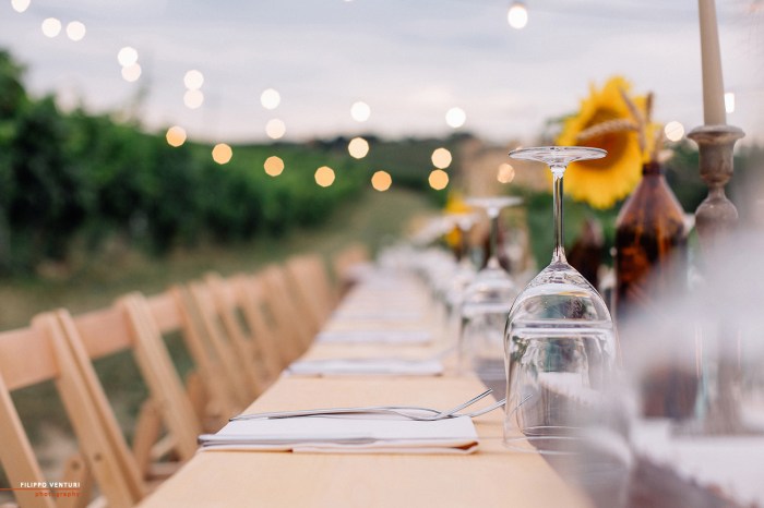 Podere La Berta, Cena in vigna, Brisighella, Foto 2