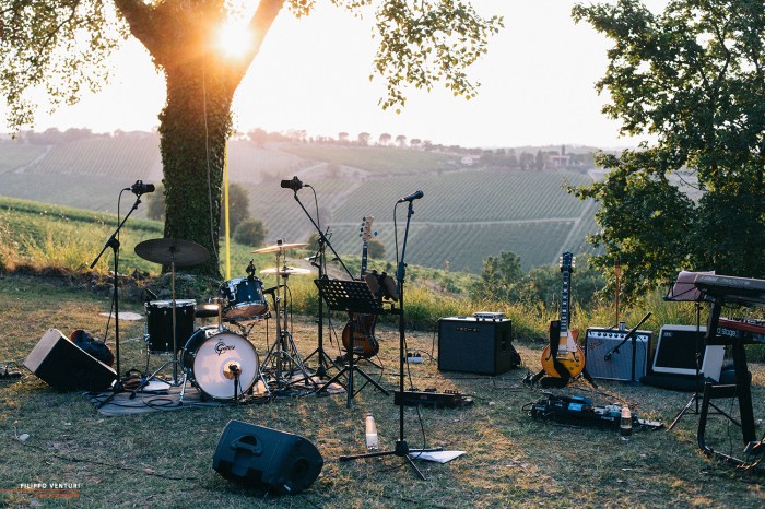 Dinner Italian Wine, photo 3