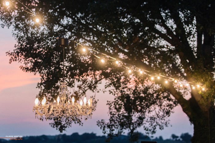 Dinner Italian Wine, photo 8