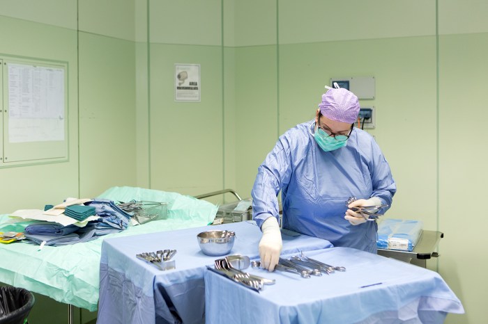 Leonardo da Vinci's 500th Anniversary