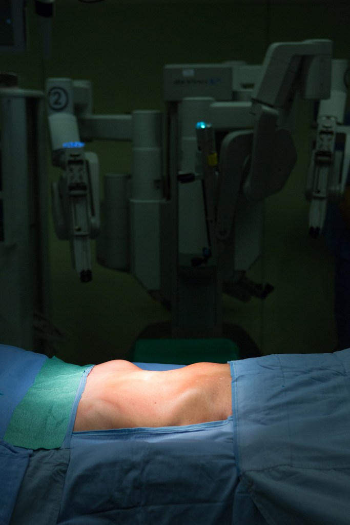 Leonardo da Vinci's 500th Anniversary