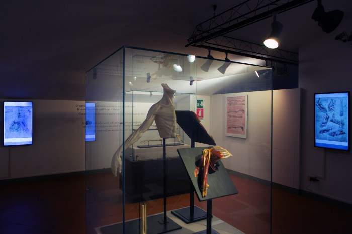 Leonardo da Vinci's 500th Anniversary