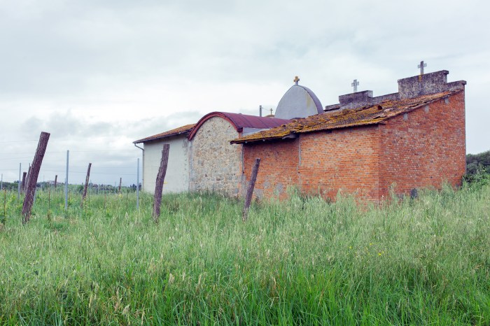 Leonardo da Vinci's 500th Anniversary