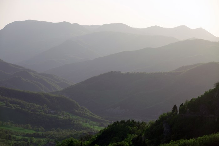 Leonardo da Vinci's 500th Anniversary