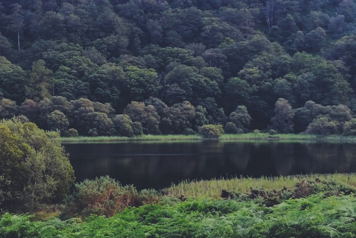 Diario di Viaggio in Irlanda - Giorno 2