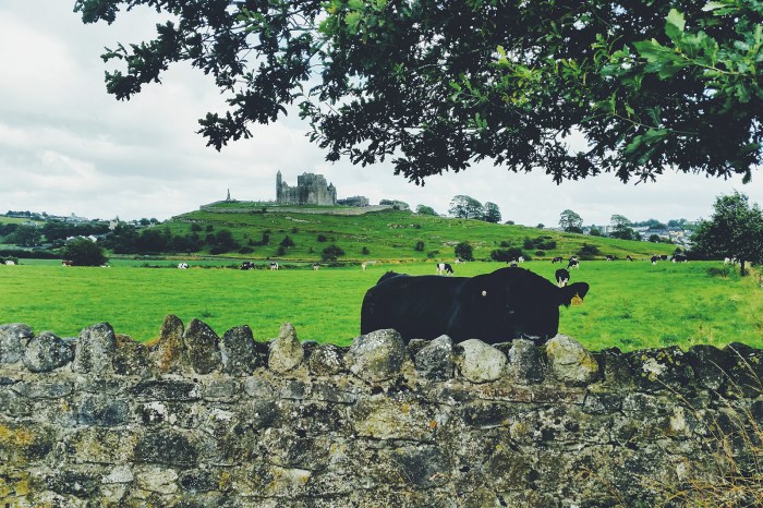 Diario di Viaggio in Irlanda - Giorno 3