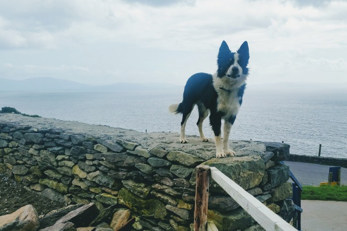 Diario di Viaggio in Irlanda - Giorno 6