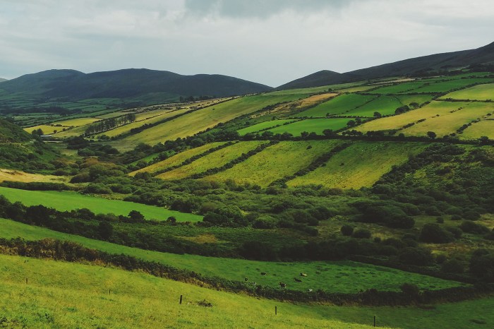 Diario di Viaggio in Irlanda - Giorno 6