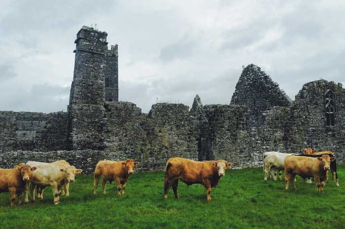 Diario di Viaggio in Irlanda - Giorno 7