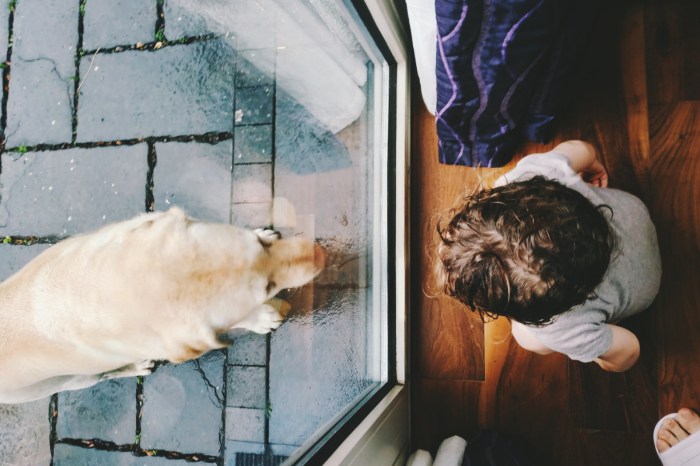 Diario di Viaggio in Irlanda - Giorno 9