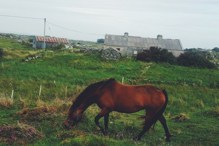 Diario di Viaggio in Irlanda - Giorno 9