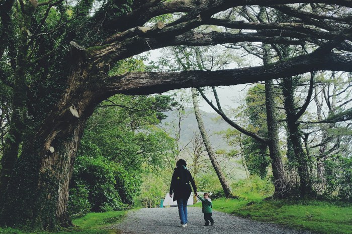 Diario di Viaggio in Irlanda - Giorno 10