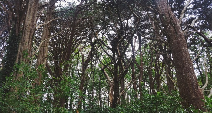 Diario di Viaggio in Irlanda - Giorno 10