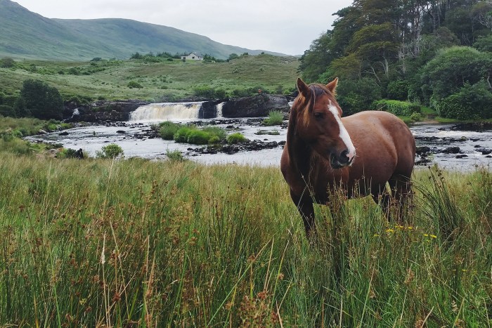 Diario di Viaggio in Irlanda - Giorno 11