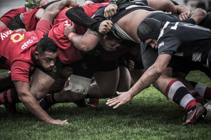 Best Rugby Photographs