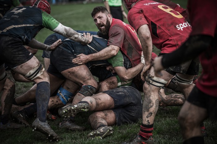 Best Rugby Photographs
